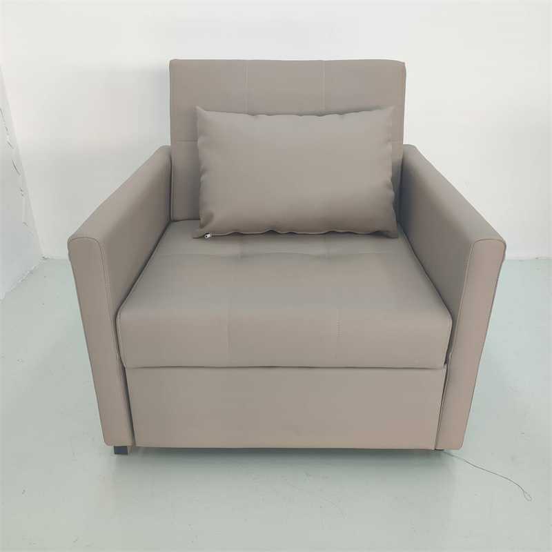 Single Divan Sofa Cum Bed 7279 (3)