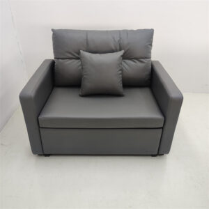 The Application of Sofa Beds in Shared Farms